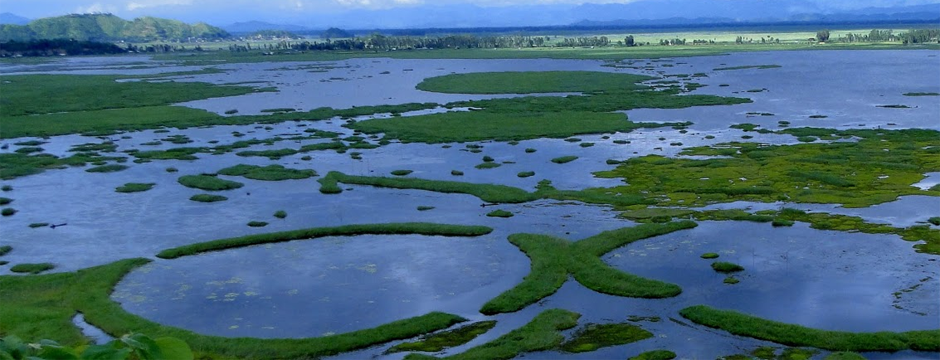 Loktak Lake, Manipur.